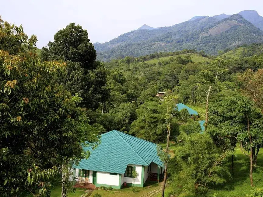 Orchard Holiday Resort