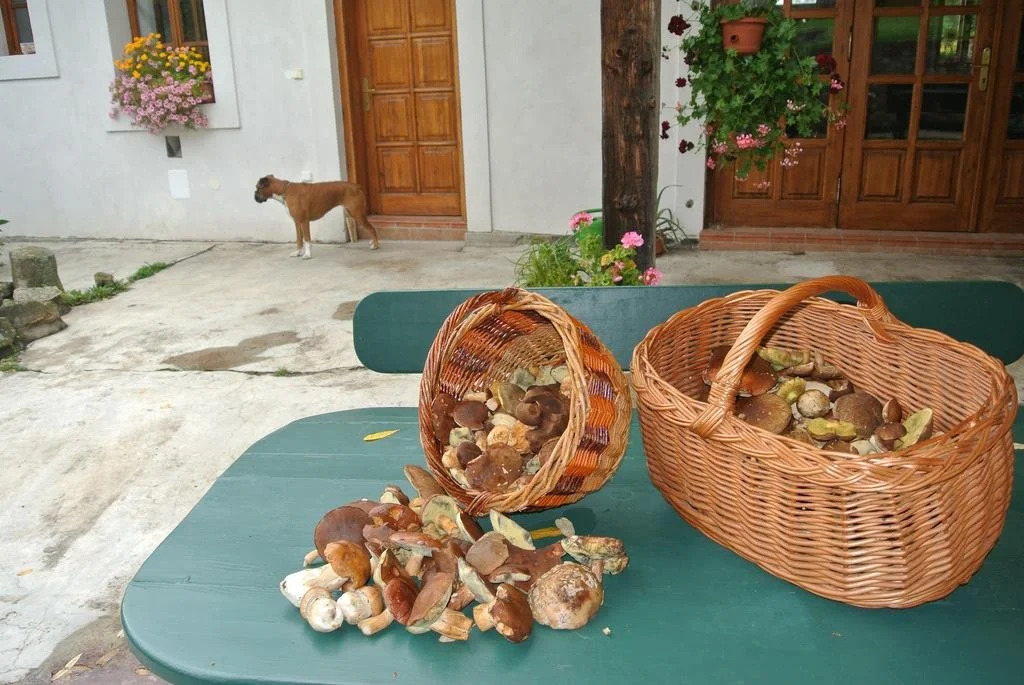 Penzion Motýlí Louka