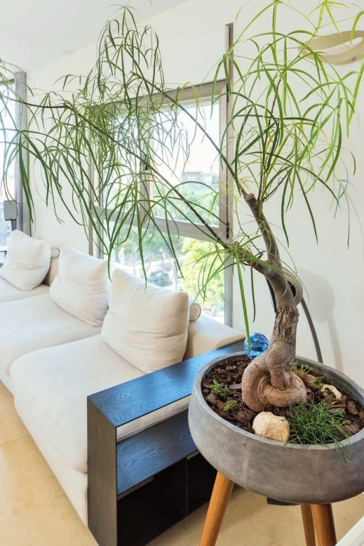Sea N'Rent - 120 Rothschild Tel Aviv