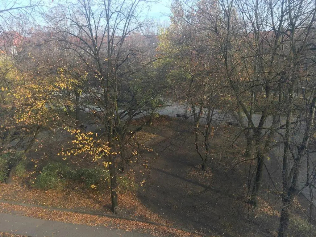 Luksusowy Apartament w centrum 110m2