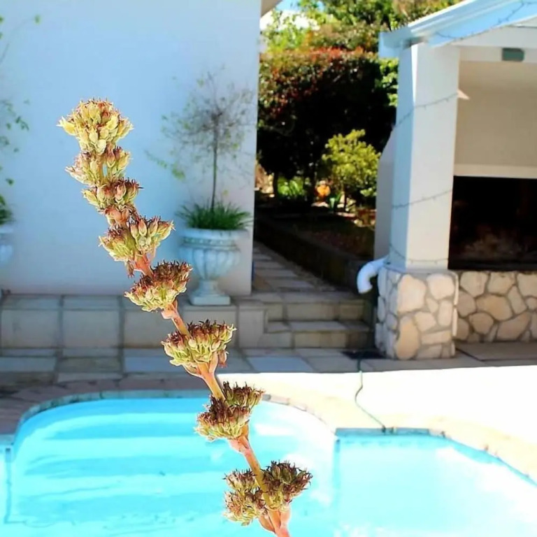 Bergview Guesthouse Swellendam