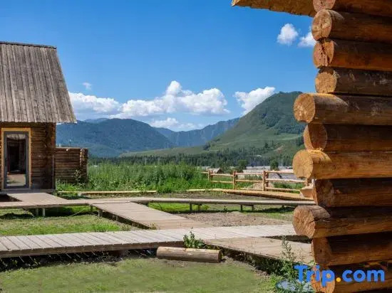 Tree Co Lodge