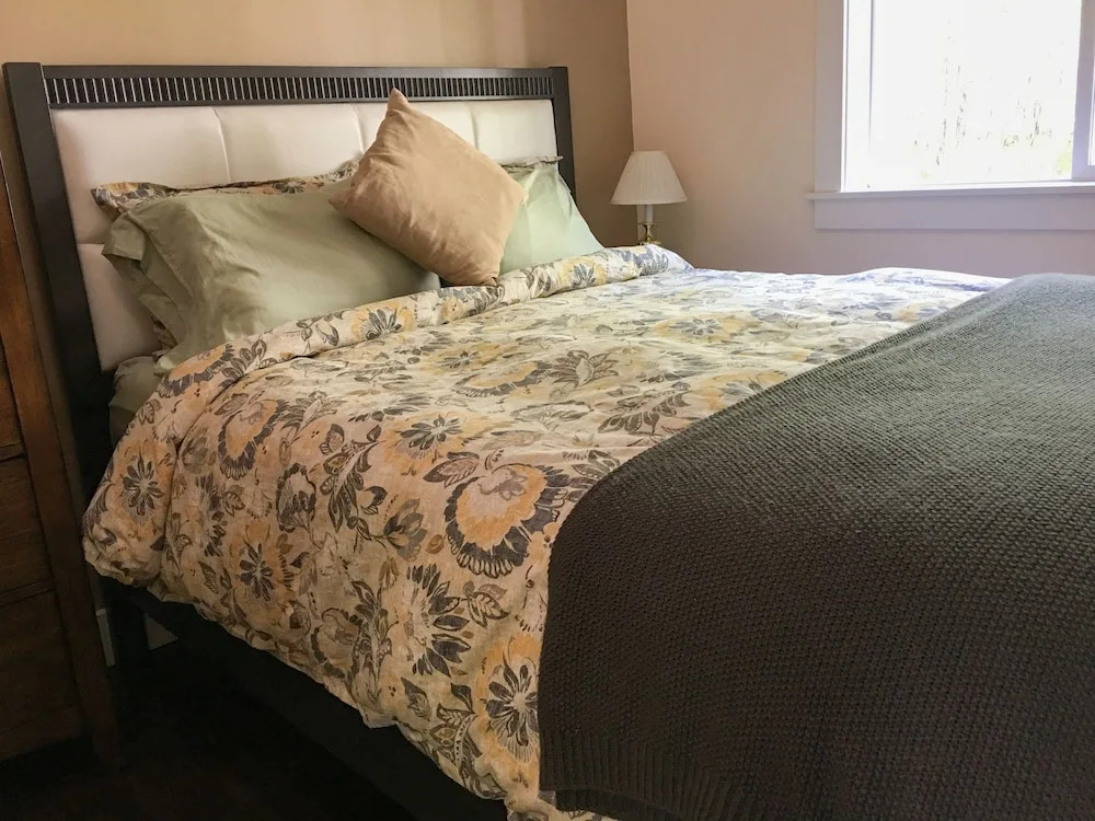 Talkeetna Mount Dall Cottage with WiFi&laundry