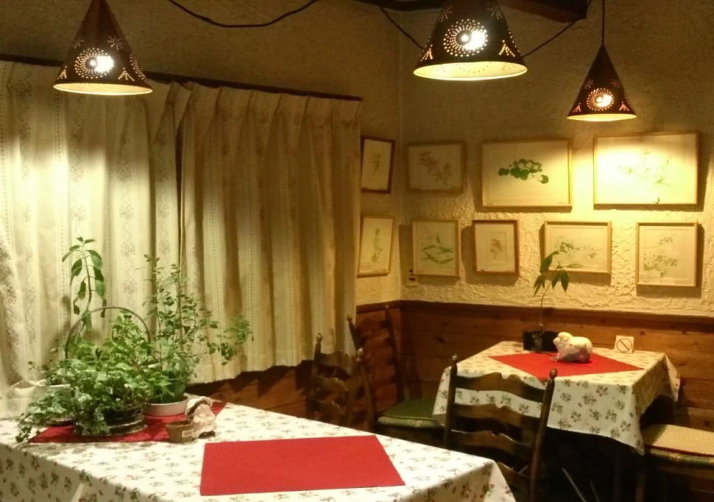 Gallery & Lodge Noichigo