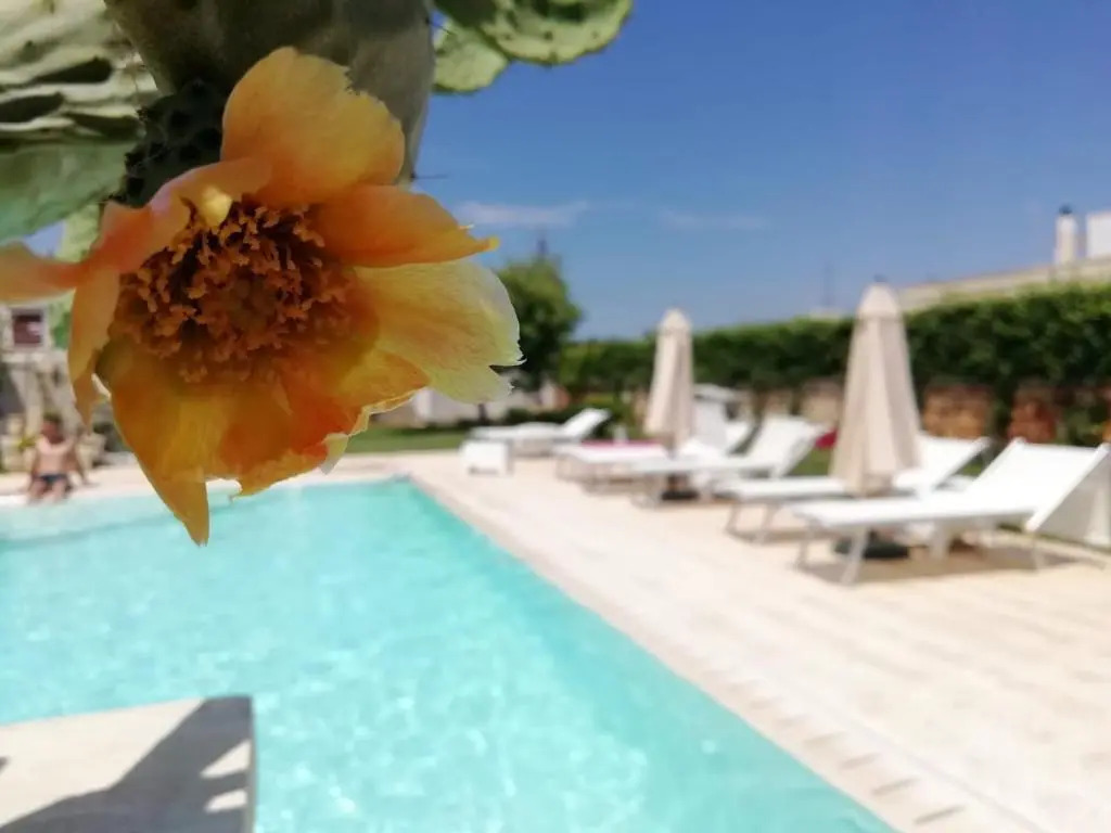 Il Giardino Del Tiglio