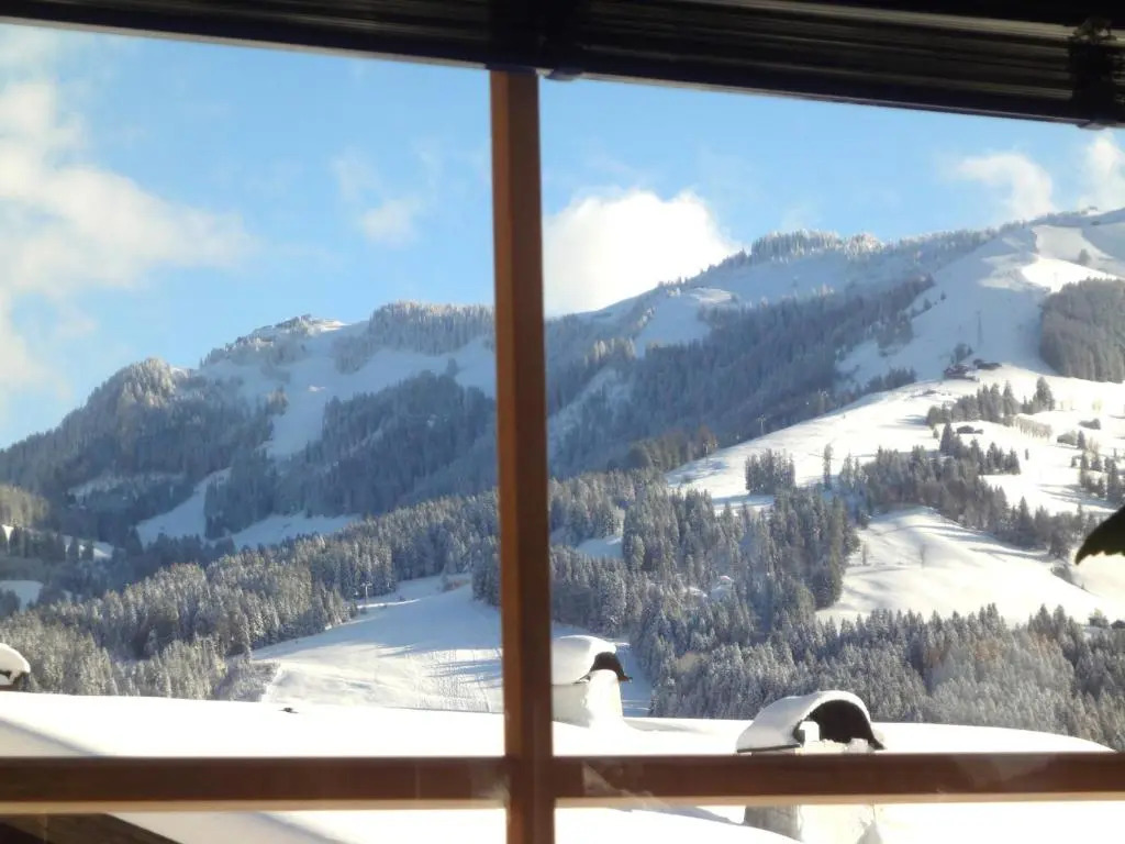 Chalet Weinberg T1 & T2 by Apartment Managers