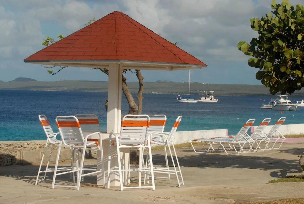 Sand Dollar Bonaire