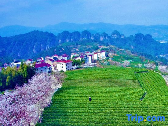 Shanhai Yishu Homestay