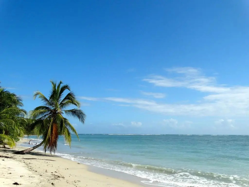 Caribbean Secret