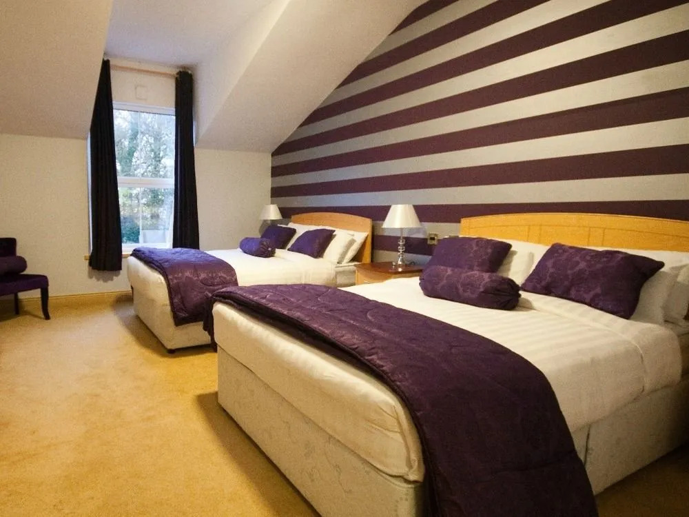 Dublin Airport Manor
