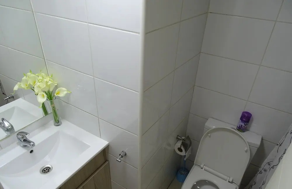 Chic dowtown Santiago for 4 pax