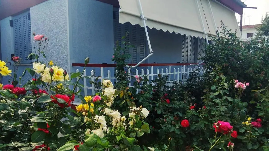 Rose's House