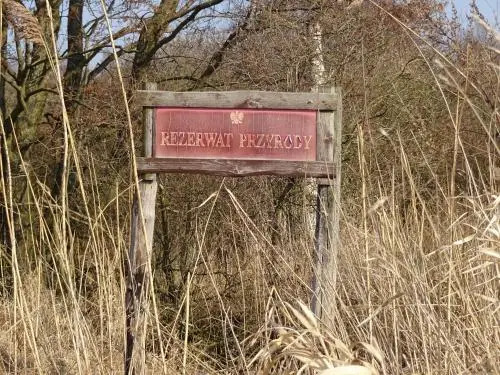 Słoneczny Wodnik