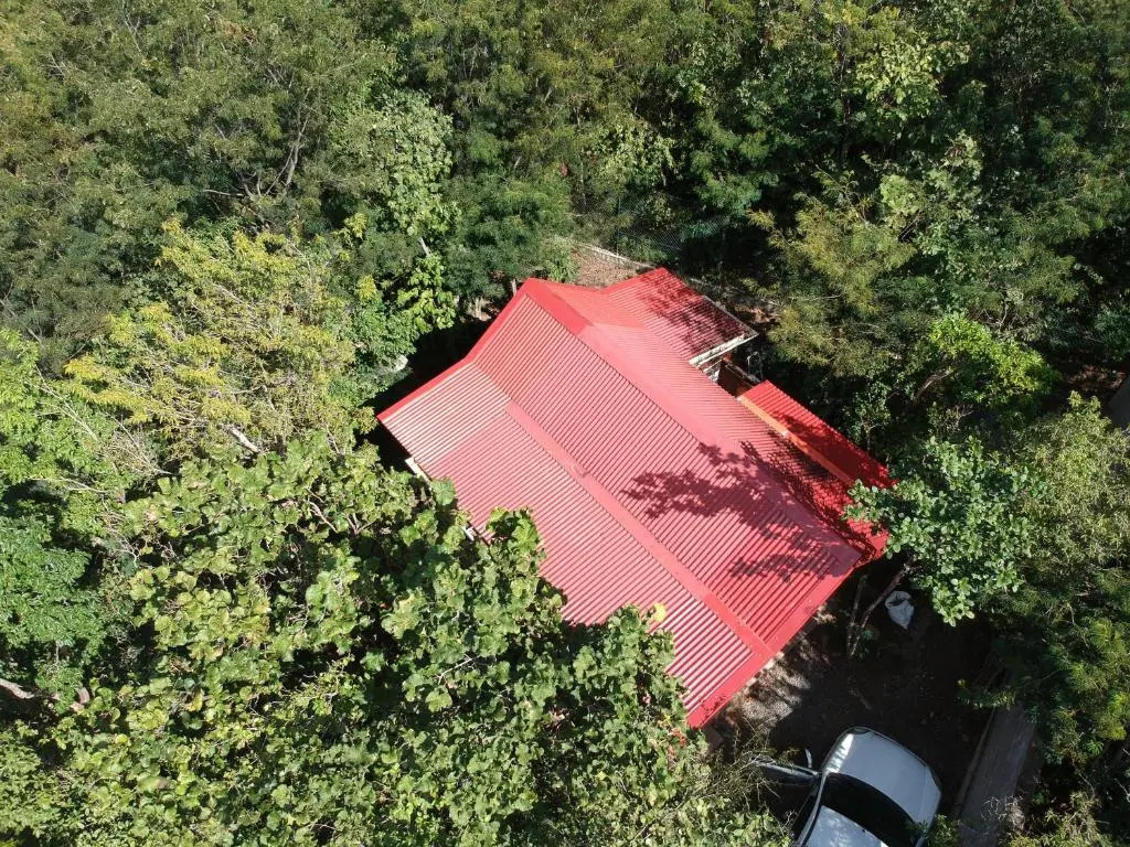 Les bungalows du château dÔ