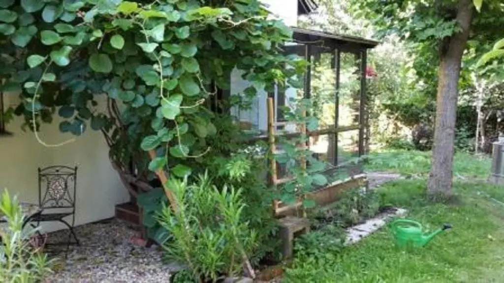 Ferienwohnung Nöll