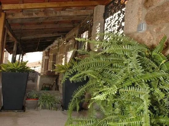 Casa Do Povo