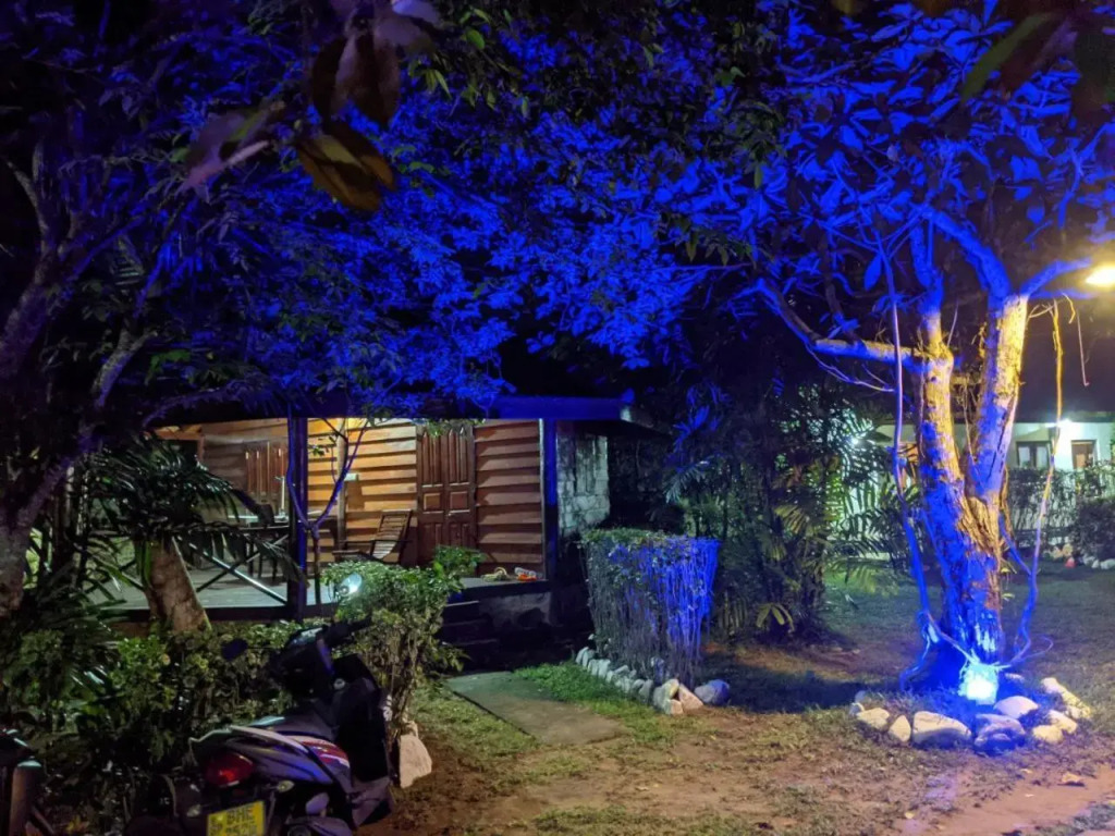 Paradise Bungalow