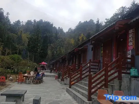Zixiao Qingju Homestay