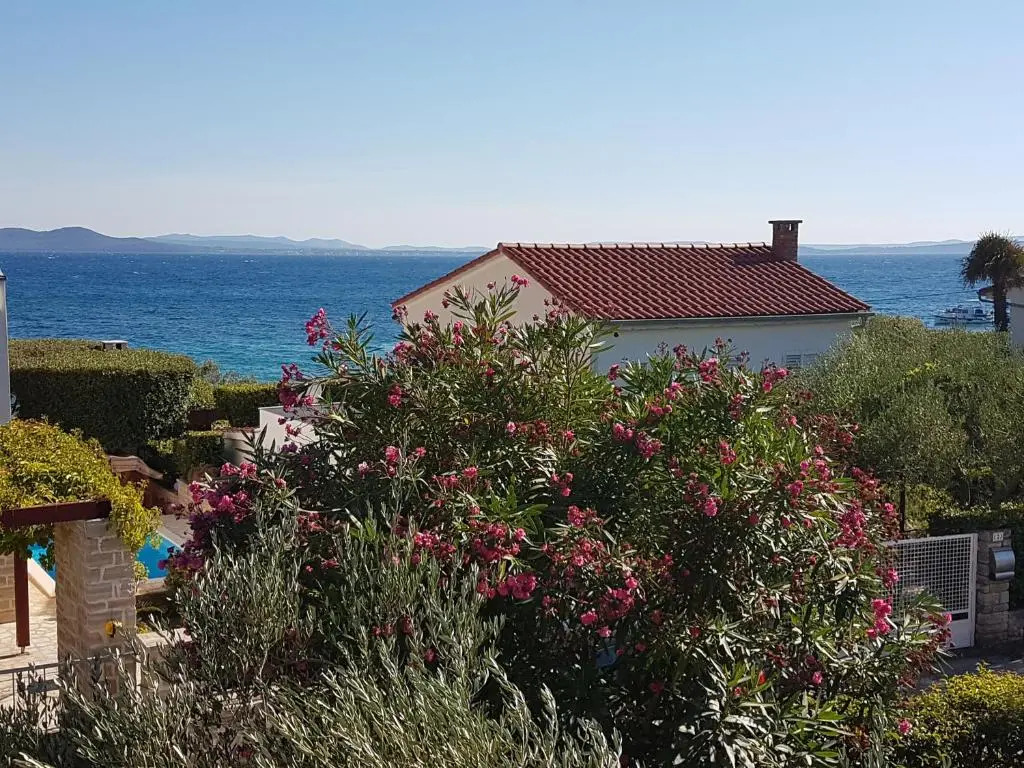 Apartman Roko