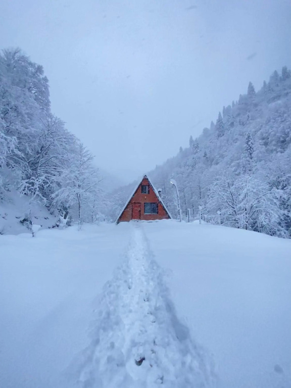 Senoz Mountain House - Bungalow