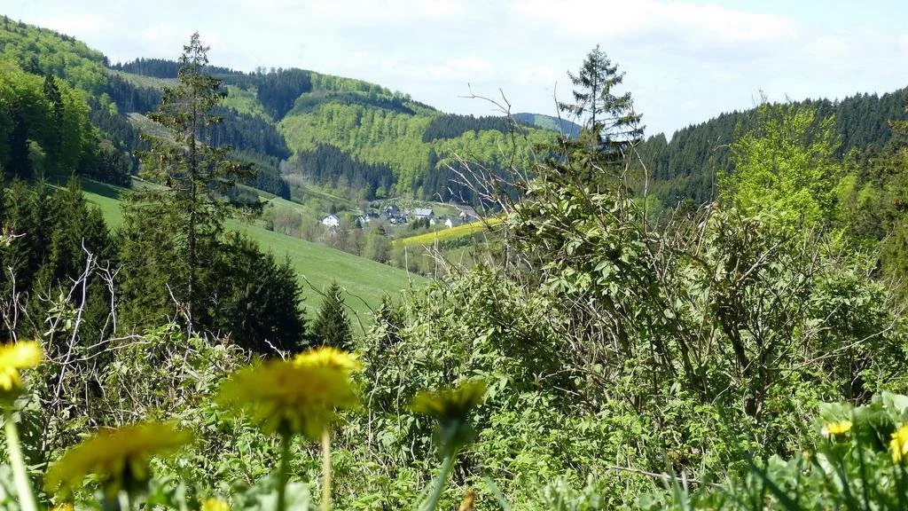 Haus Wald-Eck