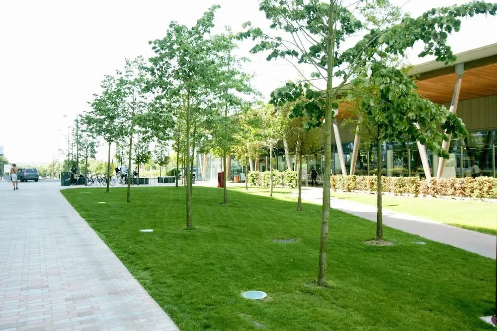 Braybrooke Apartments