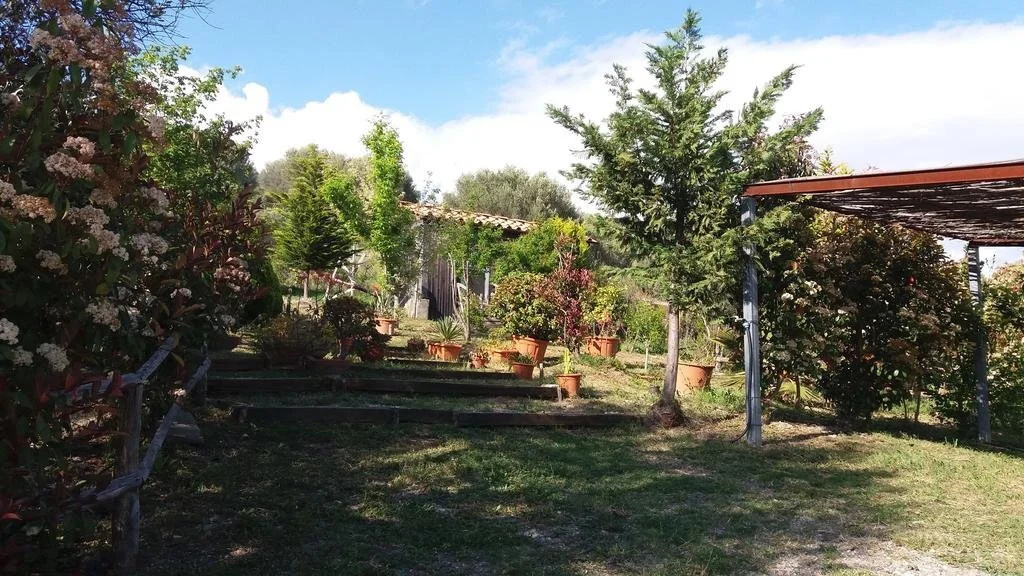 Casa Vacanze Il Pino