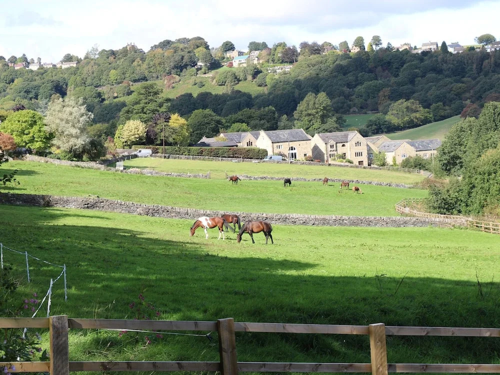 Morgan's Barn
