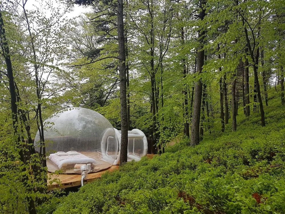 La bulle transparente - La Myrtille