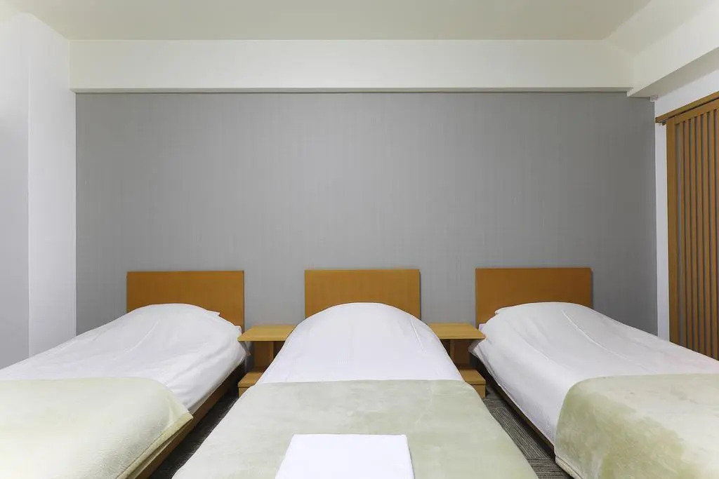 Meldia Hotel Kyoto Nijo