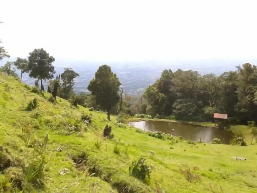 Lagunillas Del Poas