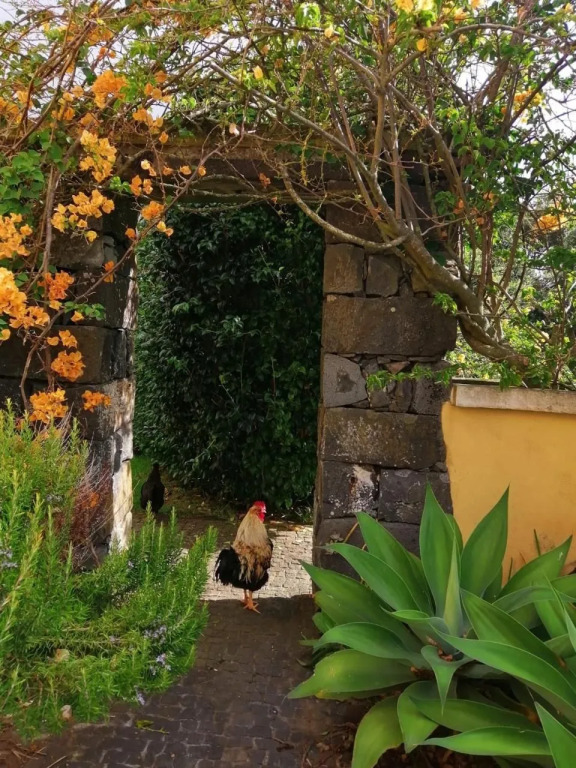 Casa da Japoneira