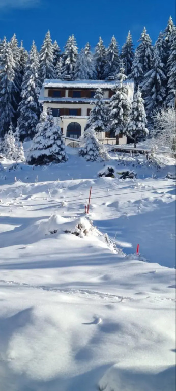 Villa Kostic Kopaonik