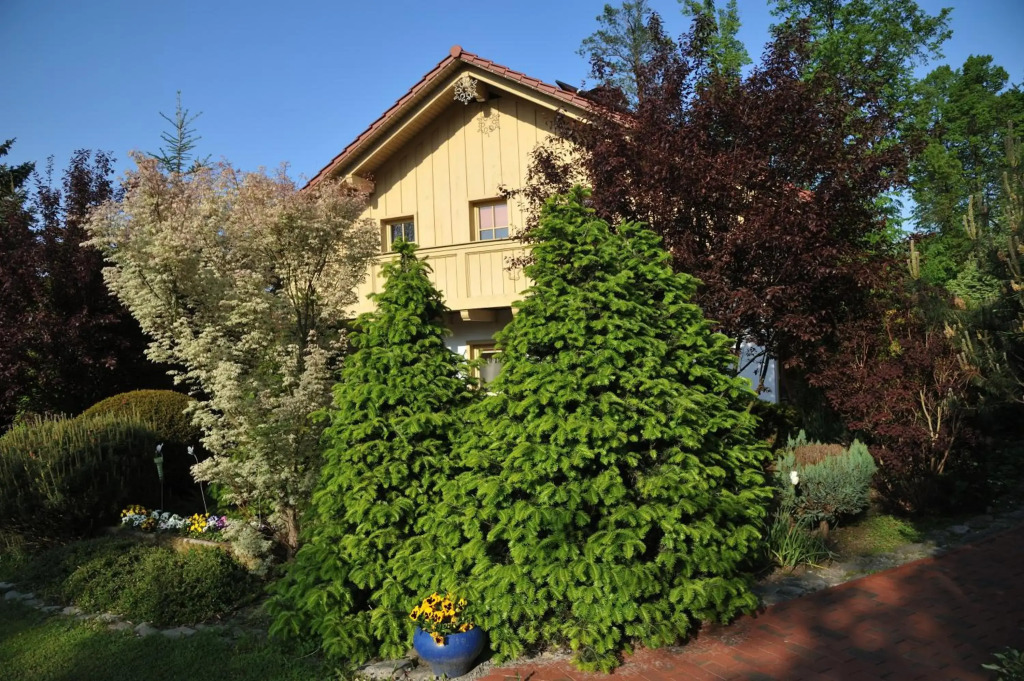 Tyrolska Zagroda - CO2 Neutral - 50m2