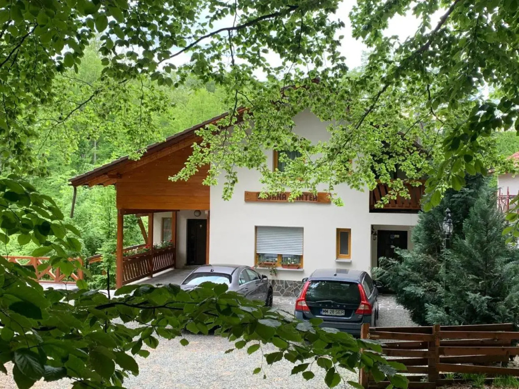 Pintea Chalet