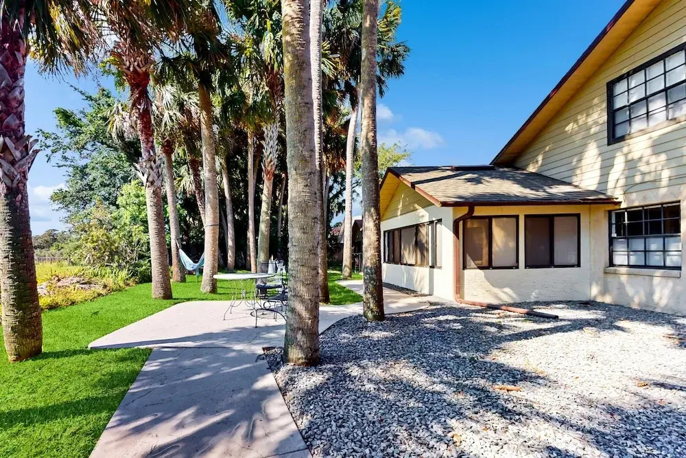 Port Orange Palm Tree Reverie