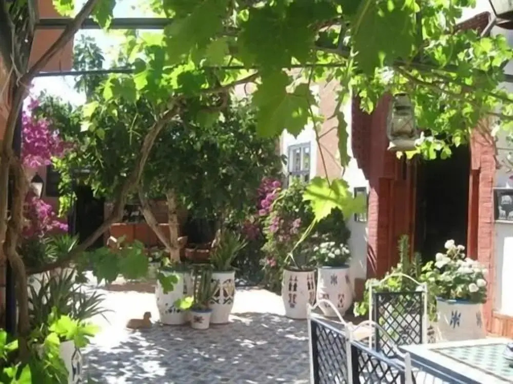 Le Petit Riad Maison dhôtes