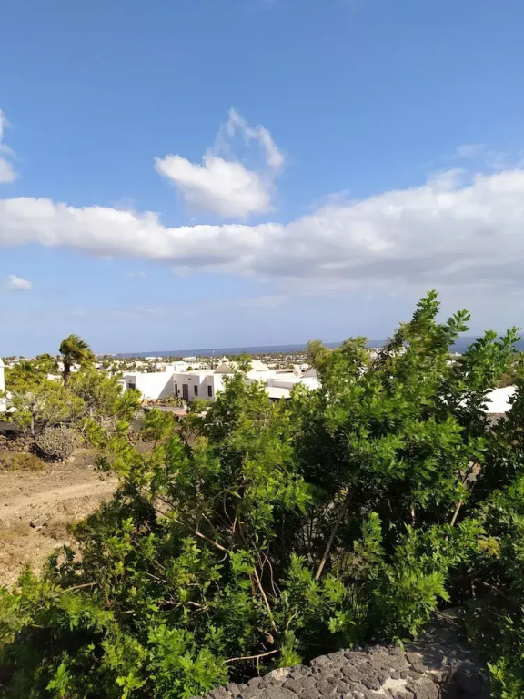 Under The Volcano In Playa Blanca