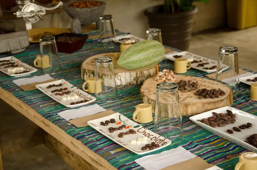 Eden Organic Farm & Bungalows