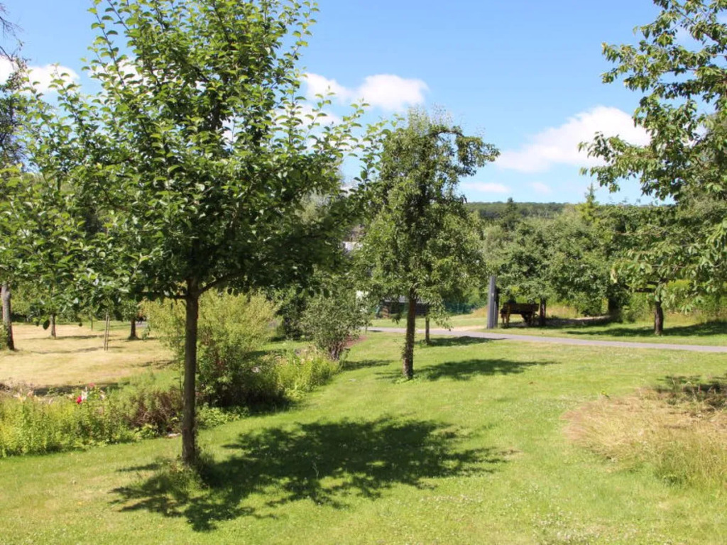 Tiny Haus Westerwald 16 Green