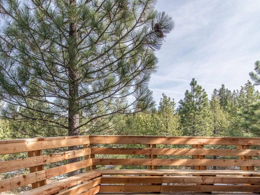 Alder Creek Cabin 2Br 2Ba