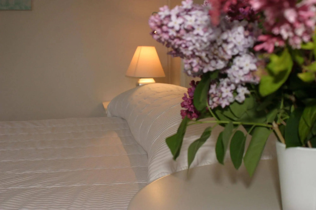 Hôtel Motel Le Beluga