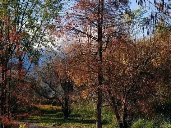 Guyue Yueyaju Lake View Guesthouse