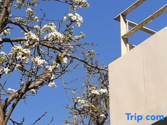 Hangzhou Xilu Homestay (SongCheng Xihu Scenic Area)