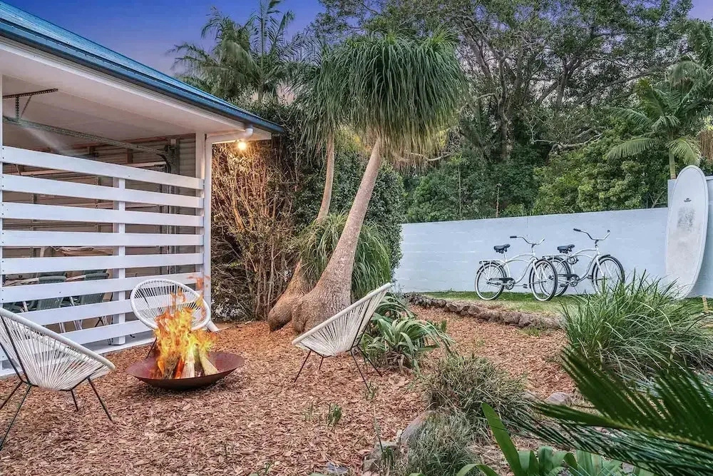 Bangalow Palms