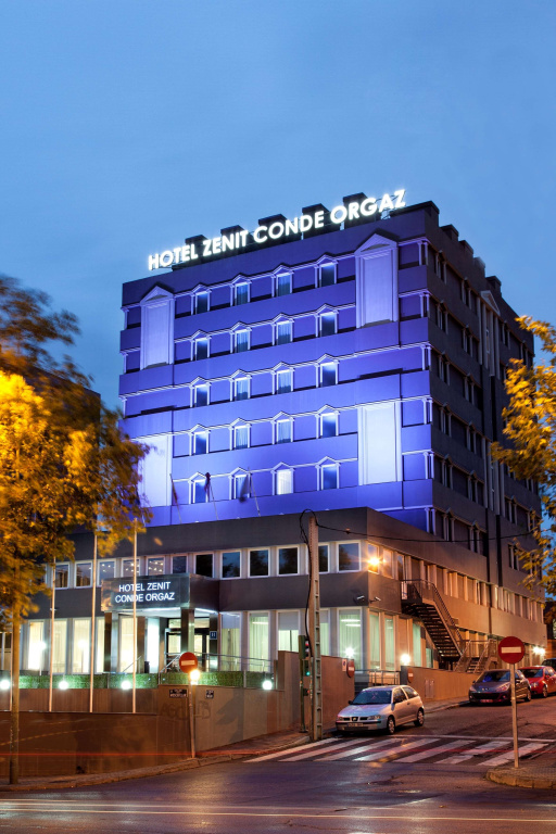 Отель Zenit Conde de Orgaz