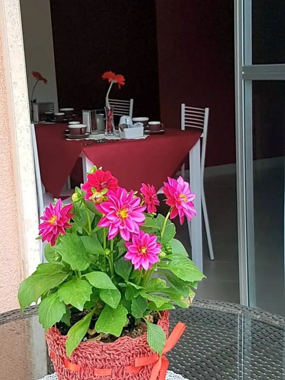 Villa Rosina