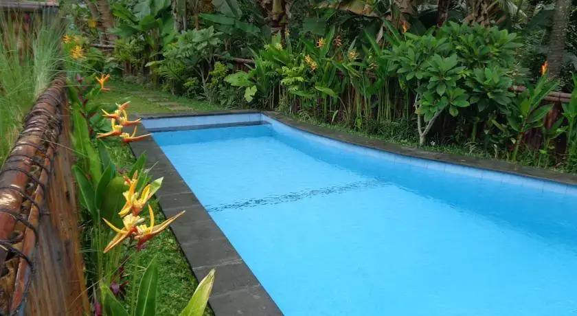 Okawati 2 House