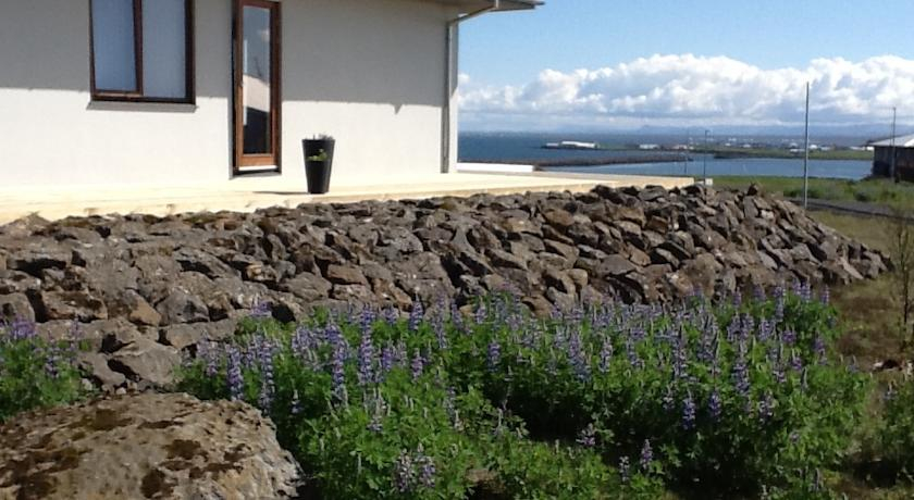 Ace Guesthouse