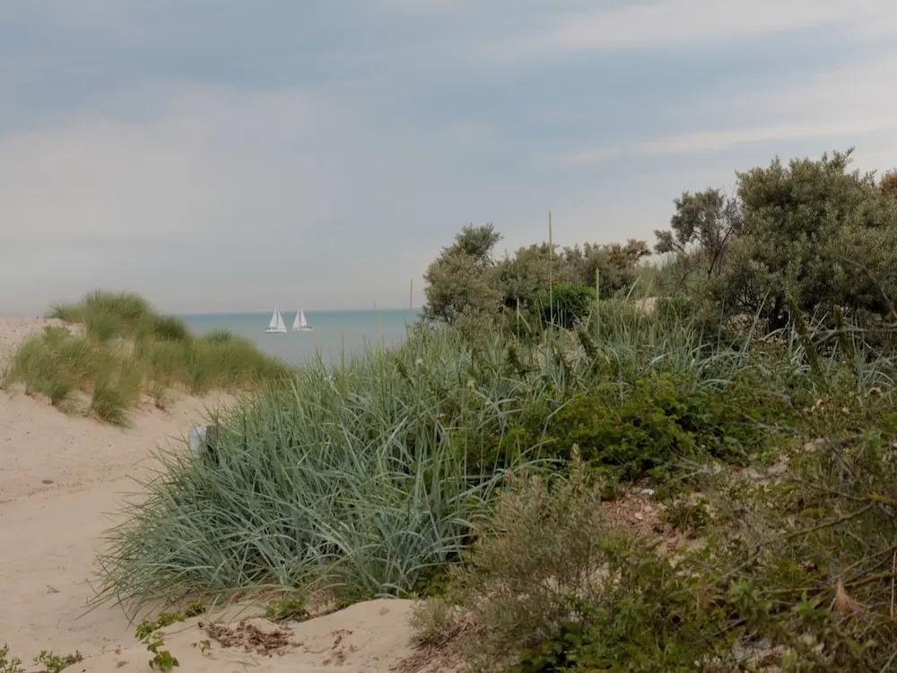 Beautiful Villa Near the Beach of Cadzand